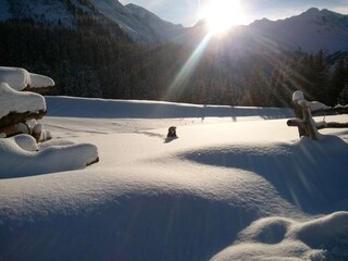 Vakantieappartement Mayrhofen Omgeving 38