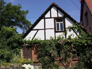 Teil der Außenanlage