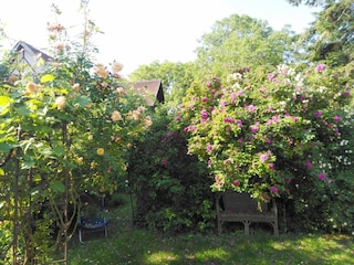 Holiday apartment Forchtenberg Outdoor Recording 11