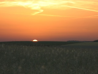 Abends auf dem Felde...