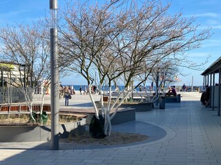 Appartamento per vacanze Großenbrode Ambiente 20