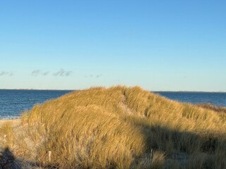 Traumhafte Ostsee