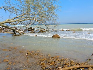 Ferienwohnung Dranske Umgebung 34