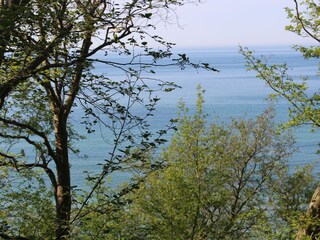 Ferienwohnung Dranske Umgebung 31