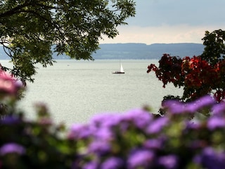 Romantischer Blick vom Balkon aus