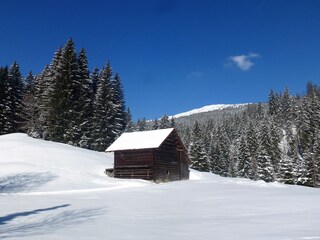 Appartamento per vacanze Hirschegg im Kleinwalsertal Registrazione all'aperto 10
