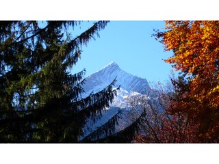Alpspitzblick
