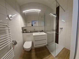 Badezimmer mit Walk-Inn Regenschauer-Dusche