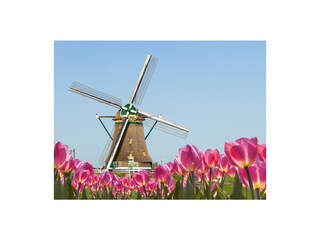 Vakantieappartement Egmond aan Zee Omgeving 35