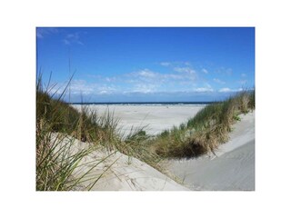 Appartamento per vacanze Egmond aan Zee Registrazione all'aperto 7