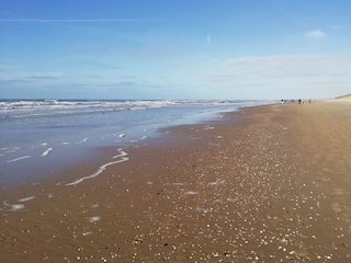 Vakantieappartement Egmond aan Zee Omgeving 23