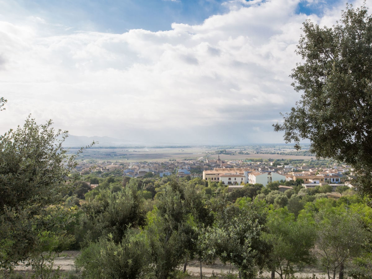 Blick auf die Landschaft