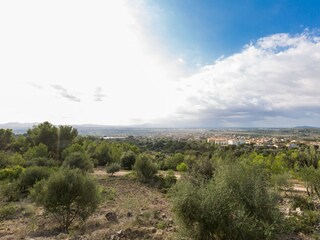 Villa Vilafranca de Bonany Ambiente 35