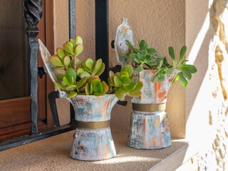 Villa Lloseta Registrazione all'aperto 17