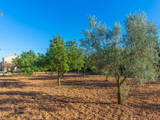 Villa Lloseta Grabación al aire libre 20