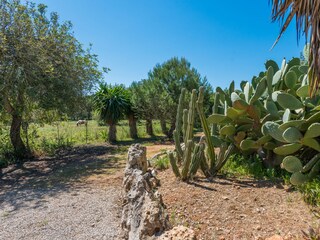 Villa Inca Buitenaudio-opname 20