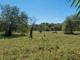 Villa Inca Buitenaudio-opname 21