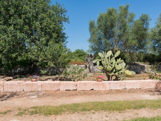 Villa Inca Registrazione all'aperto 23
