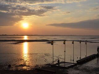 Appartement de vacances Dangast Environnement 21