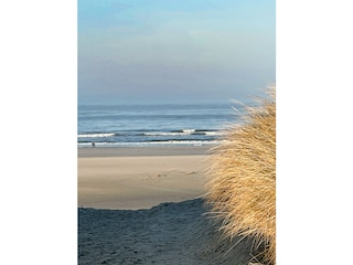 Ferienwohnung Juist Umgebung 26