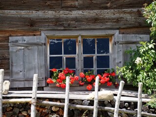 Holiday apartment Bolsterlang Environment 19