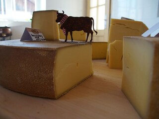 Holiday apartment Bolsterlang Environment 22