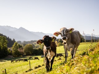 Holiday apartment Bolsterlang Outdoor Recording 7