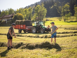 Heumachen im Sommer - echte Handarbeit