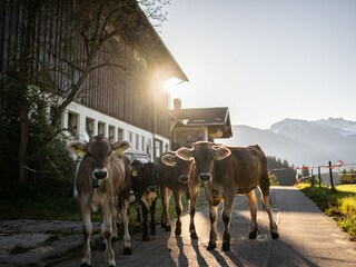 Holiday apartment Bolsterlang Outdoor Recording 12