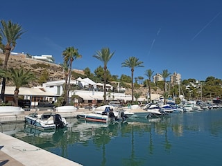 MARINA MORAIRA
