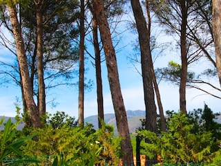 Appartamento per vacanze Saint-Raphael Ambiente 15