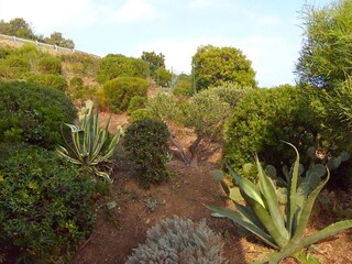 Villa Sainte-Maxime Registrazione all'aperto 8