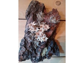 Holiday house Patergassen Features 10