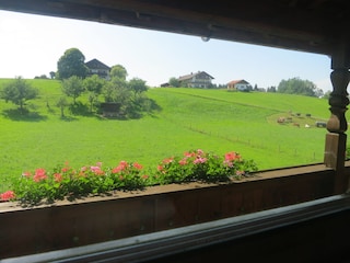 Guten Morgen - der Ausblick von Schlafzimmer