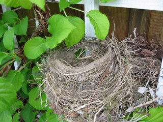 Auch wir haben ein Nest für Sie bereit!