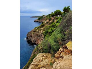 Casa per le vacanze Cala Pi Ambiente 29