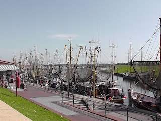Hafen