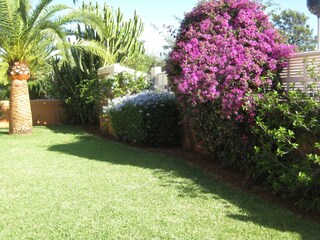 Holiday house El Verger Environment 2