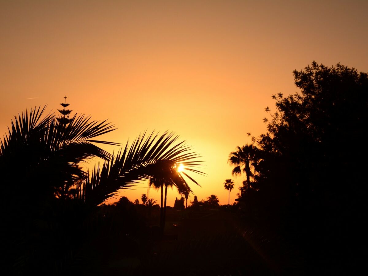 Morgenstimmung im Garten