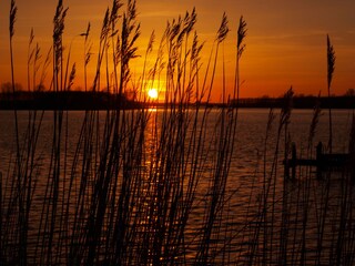 Bungalow Kamperland Ambiente 23