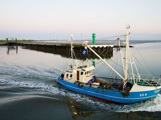 Büsum ist noch ein echter Fischerort