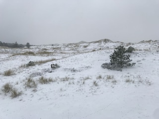 verschneite Dünenlandschaft