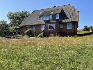 Blick von der Straße