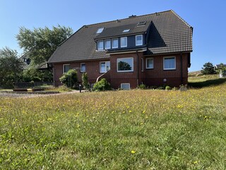 Blick von der Straße