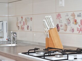 Appartamento per vacanze Mastrinka Caratteristiche 14