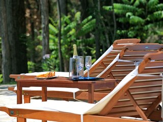 Villa Motovun Registrazione all'aperto 10