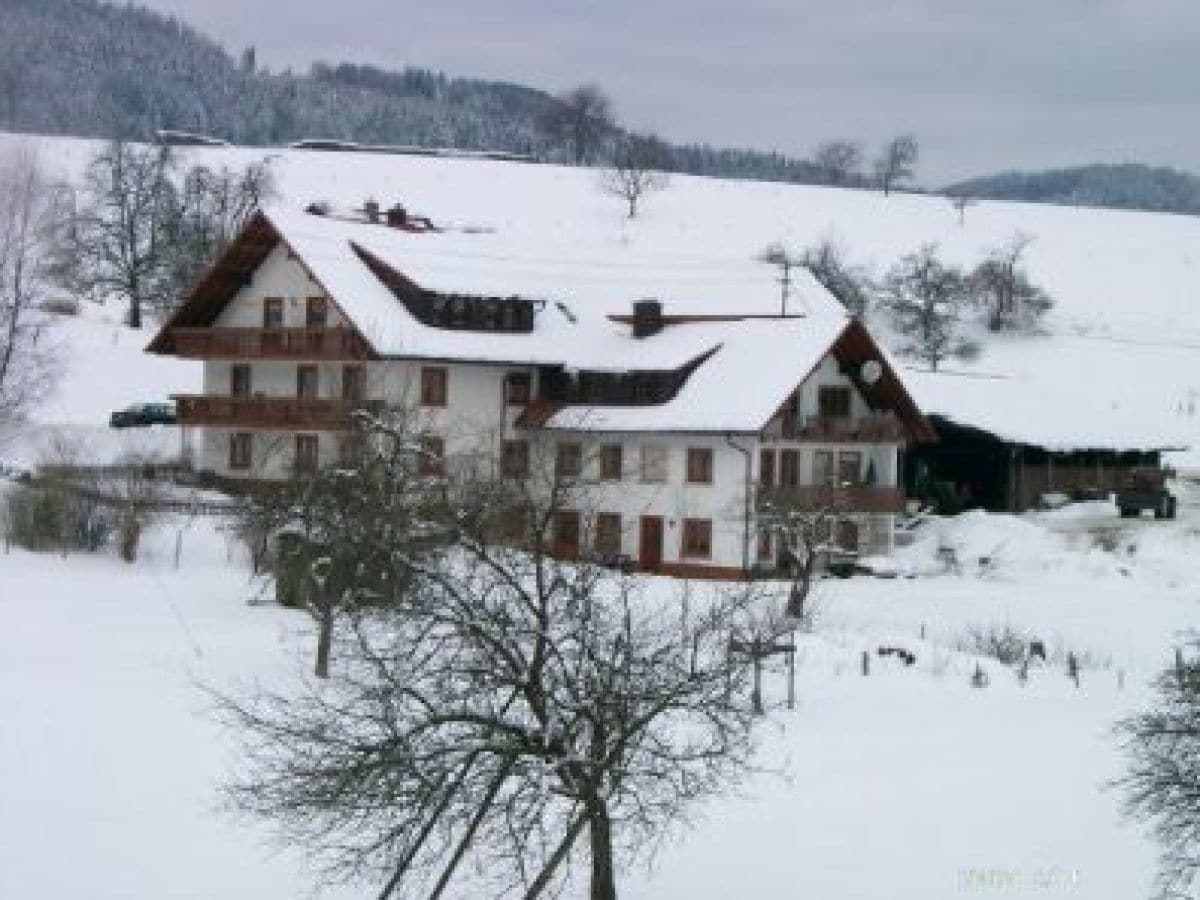 Ferienwohnung Sallneck Außenaufnahme 1