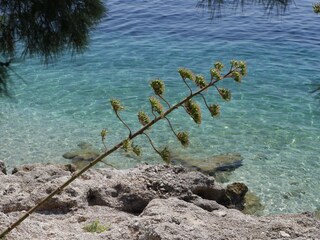 Beautiful clear sea