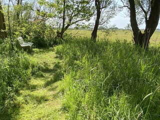 Vakantieappartement Süllwarden Buitenaudio-opname 12