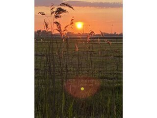 Apartamento de vacaciones Süllwarden Grabación al aire libre 14